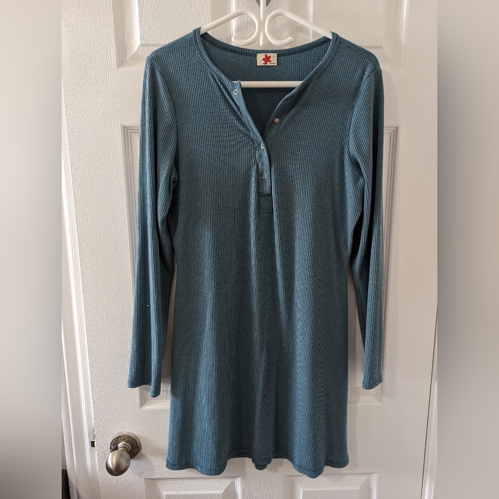 Plus Size Blue Leopard Dress